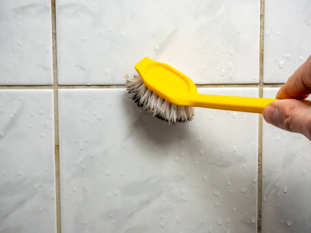 Best Mold Cleaning Services  in Riverside, CA