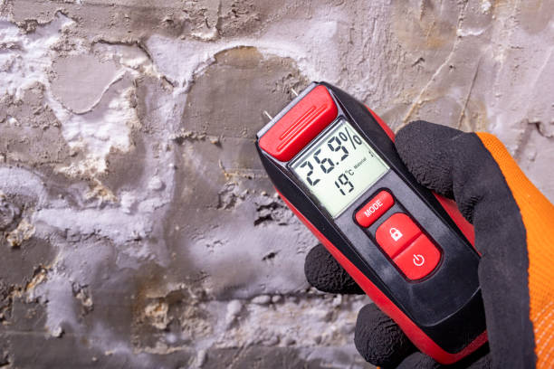 Mold Removal and Inspection in Riverside, CA